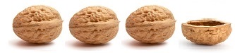 3.5 NutshellReview